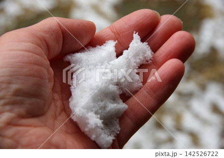 手で握った雪 手で握った雪 142526722