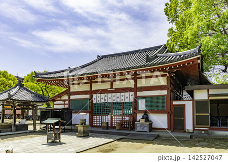 大阪 天王寺 四天王寺 萬燈院(紙衣堂) 大阪府大阪市 大阪 天王寺 四天王寺 萬燈院(紙衣堂) 大阪府大阪市 142527047
