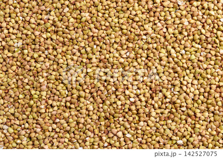 Raw green buckwheat grains texture as an abstract organic food background. Dietary nutritious ingredients 142527075