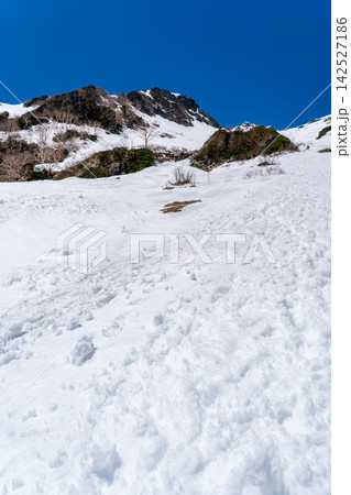 北穂沢の登山ルートから見上げる北穂高岳の南陵とゴルジュ 初夏残雪期の北アルプス北穂高岳登山 北穂沢の登山ルートから見上げる北穂高岳の南陵とゴルジュ 初夏残雪期の北アルプス北穂高岳登山 142527186