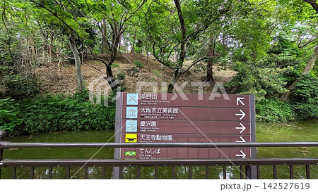 大阪天王寺公園内の茶臼山 142527619