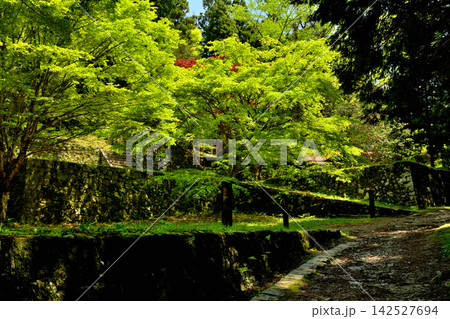 日本100名城・岩村城 142527694