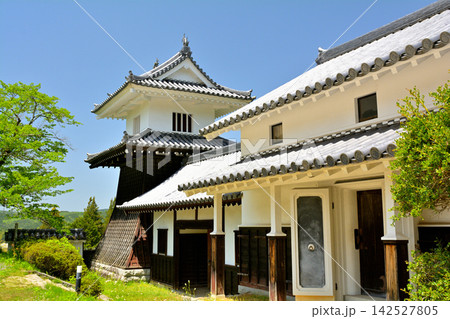 日本100名城・岩村城 142527805