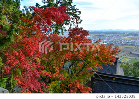 太郎坊宮の紅葉 太郎坊宮の紅葉 142528039