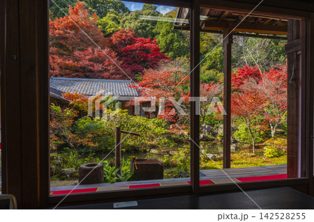 秋の京都 実相院門跡 紅葉に包まれた山水庭園 秋の京都 実相院門跡 紅葉に包まれた山水庭園 142528255