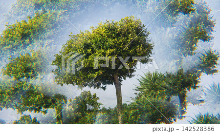 Central green tree surrounded by layered translucent foliage and repeated tree forms, creating surreal multiple exposure effect with colorful optical distortion Central green tree surrounded by layered translucent foliage and repeated tree forms, creating surreal multiple exposure effect with colorful optical distortion 142528386