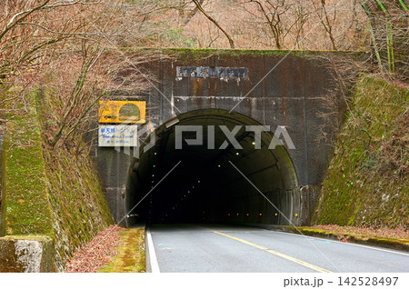 静岡県伊豆市 国道414号の新天城トンネル 静岡県伊豆市 国道414号の新天城トンネル 142528497