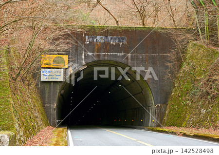 静岡県伊豆市 国道414号の新天城トンネル 静岡県伊豆市 国道414号の新天城トンネル 142528498