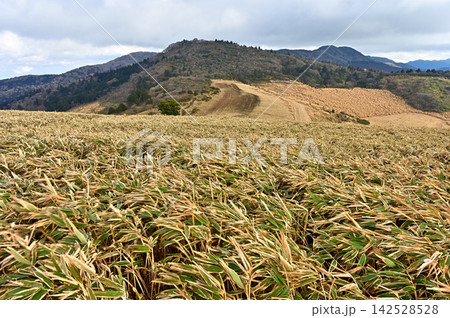 伊豆半島の伊豆山稜線歩道 仁科峠展望台から眺める後藤山 伊豆半島の伊豆山稜線歩道 仁科峠展望台から眺める後藤山 142528528