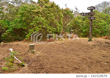 伊豆半島の伊豆山稜線歩道 猫越岳山頂 二等三角点(猫越峠) 伊豆半島の伊豆山稜線歩道 猫越岳山頂 二等三角点(猫越峠) 142528670