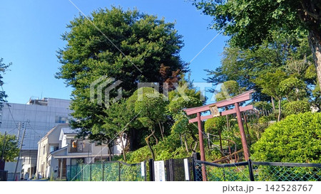 白山神社の裏手側にある白山浅間神社 白山神社の裏手側にある白山浅間神社 142528767