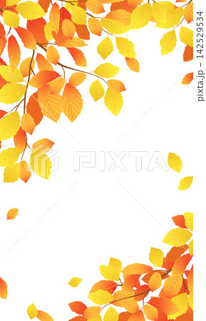 Vector illustration featuring autumn branches. Vertical banner with orange and yellow beech leaves. Leaf fall season. Elm leaves gently drift down and flutter in the wind. Clip art for sales events. Vector illustration featuring autumn branches. Vertical banner with orange and yellow beech leaves. Leaf fall season. Elm leaves gently drift down and flutter in the wind. Clip art for sales events. 142529534