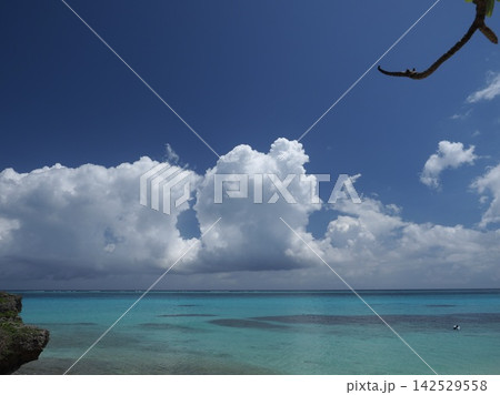 フナクスビーチから見上げる鮮やかな青空と湧き立つ白雲 フナクスビーチから見上げる鮮やかな青空と湧き立つ白雲 142529558