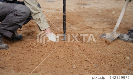 Gloved worker kneels on dry earth while packing soil around young plant support stake, with shovel beside mound, showing hands on garden restoration, land care, and outdoor planting work 142529973