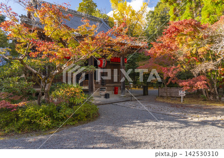 京都　秋の赤山禅院　紅葉に包まれた本地堂（地蔵堂） 142530310