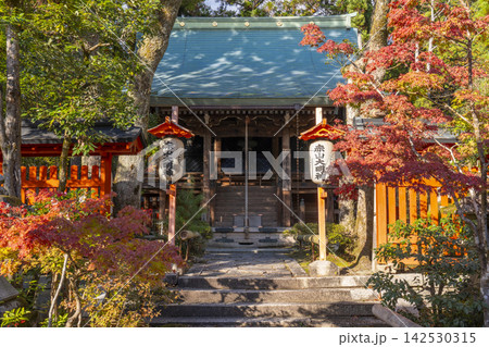京都　秋の赤山禅院　紅葉に包まれた本殿 142530315