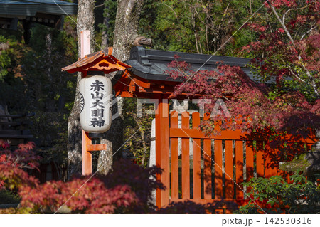 京都　秋の赤山禅院　紅葉に包まれた本殿 142530316