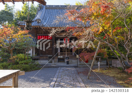 京都　秋の赤山禅院　紅葉に包まれた本地堂（地蔵堂） 142530318