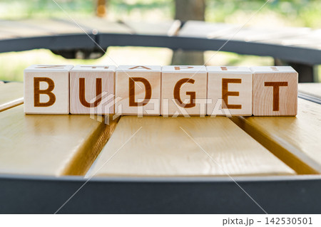 motivational word Budget is laid out from letters on wooden cubes 142530501