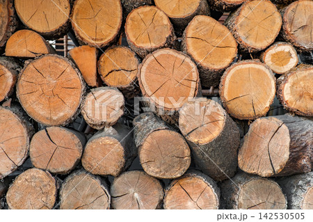 sawn wooden round logs stacked 142530505