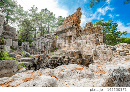 stone ruins of the ancient city of Phaselis in Turkey 142530571