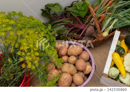 Various vegetables are arranged in baskets and boxes. The scene includes potatoes, squash, cucumbers, and greens. This is from a recent harvest in a garden Various vegetables are arranged in baskets and boxes. The scene includes potatoes, squash, cucumbers, and greens. This is from a recent harvest in a garden 142530860