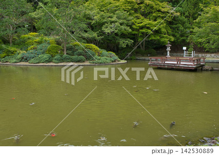 池のある庭園 池のある庭園 142530889