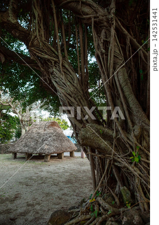伊平屋島・島尻の神アシアゲ 142531441