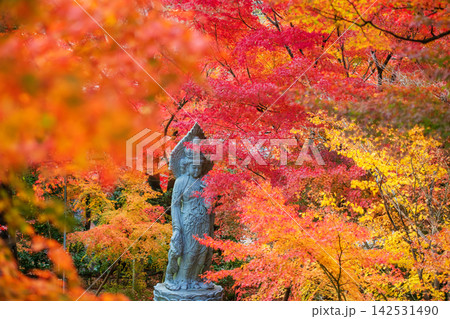 Guan Yin statue surround by fall leaf colors at Eikando temple, Kyoto Guan Yin statue surround by fall leaf colors at Eikando temple, Kyoto 142531490