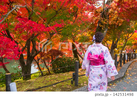 Japanese woman in pink kimono at Eikando garden with fall colors, Kyoto Japanese woman in pink kimono at Eikando garden with fall colors, Kyoto 142531498