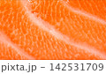 Extreme macro full frame shot of fresh raw salmon fish texture, glistening orange muscle fibers and white fat marbling 142531709