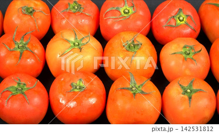 Top view of fresh ripe red tomatoes with green stems arranged in grid rows on black background, organic farm harvest produce Top view of fresh ripe red tomatoes with green stems arranged in grid rows on black background, organic farm harvest produce 142531812