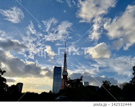 夕暮れの空と東京タワー 夕暮れの空と東京タワー 142532444