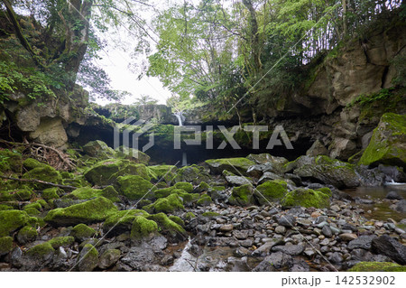 神鍋溶岩流　稲葉川　苔むす岩と小滝 142532902