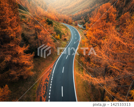 Aerial view of winding mountain road and orange forest in autumn 142533313