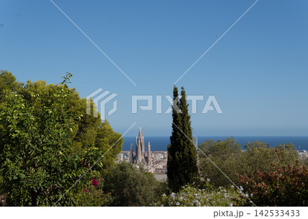 Lush garden overlook presents Sagrada Familia between mature trees with Mediterranean vegetation in foreground. Barcelona rooftops extend toward calm blue sea beneath broad cloudless sky and bright Lush garden overlook presents Sagrada Familia between mature trees with Mediterranean vegetation in foreground. Barcelona rooftops extend toward calm blue sea beneath broad cloudless sky and bright 142533433