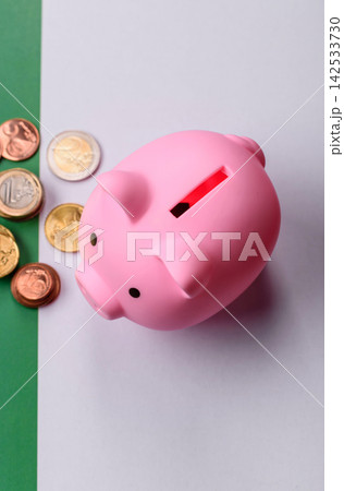 A piggy bank as a concept for storing, accumulating, and saving financial resources. A piggy bank 142533730