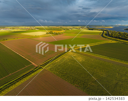 High angle wide horizontal aerial drone photograph of polder fields, drainage canals, Lake Veere, and storm sky in Kamperland, Zeeland, Netherlands in golden hour summer sunlight 142534383