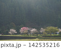 桜のある風景 142535216