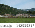 桜のある風景 142535217