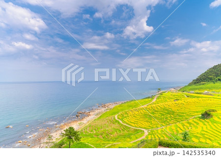 石川県・能登半島 白米千枚田 石川県・能登半島 白米千枚田 142535340