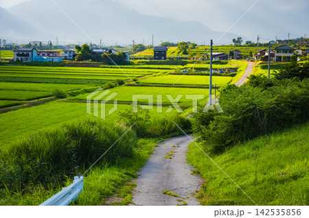 安曇野・夕景【北安曇郡池田町】 142535856