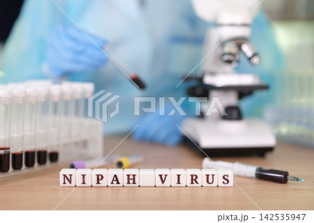 Text Nipah Virus spelled with cubes on medical lab background Text Nipah Virus spelled with cubes on medical lab background 142535947