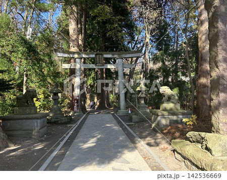 青森県の十和田湖畔の神社、十和田神社の石の鳥居と狛犬と立派は杉の木です。 142536669