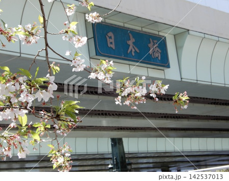 日本橋 日本橋 142537013