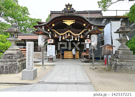 藤森神社　アジサイ 142537221