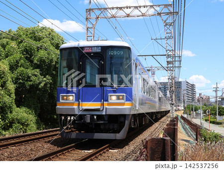 南海本線　蛸地蔵駅付近を走る特急サザン 142537256