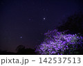 満天の星空の下に咲き誇る紫色のツツジの花 142537513