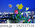 美しい夜景の玉ボケとテラスを彩る春の花々 142537516