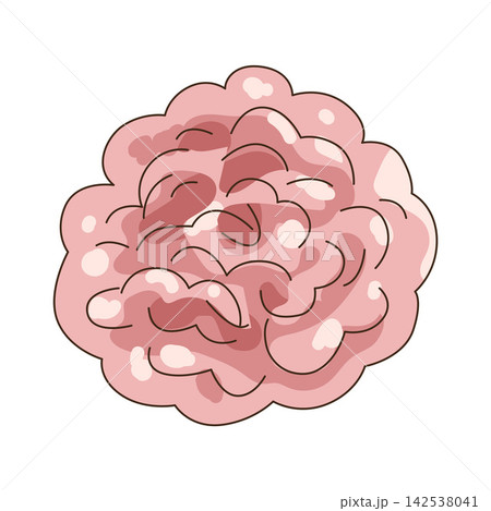 Illustration of pink pom pom decoration Illustration of pink pom pom decoration 142538041